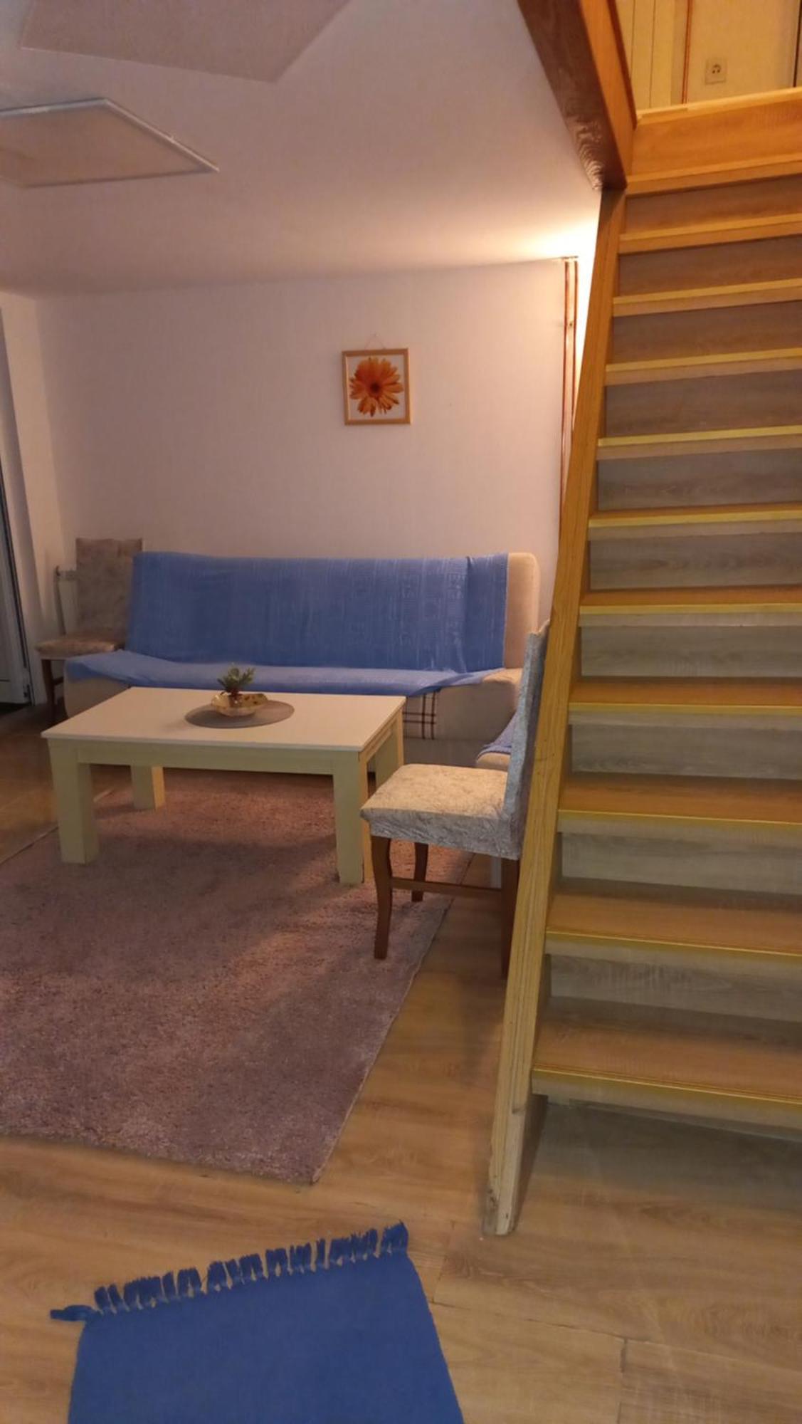 Kopaonik Apartman Aleksandar Zimmer foto